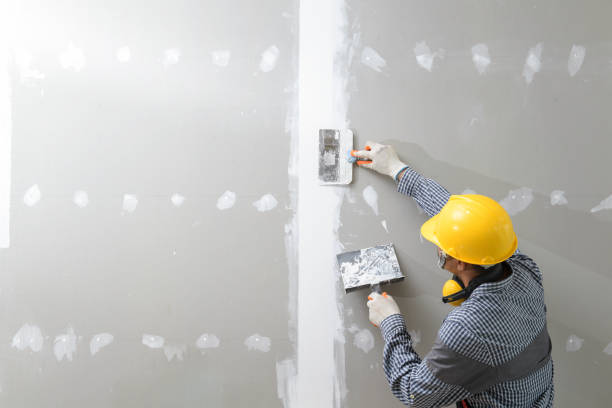 Trusted Anderson Creek, NC Mold Removal Experts